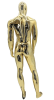 Male  Egghead or Headless Mannequin Gold Chrome - Pose 1 - Image 3 of 0