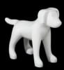 Glossy White Abstract Small Puppy Dog Mannequin - Image 1 of 0