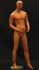 Realistic athletic male fiberglass mannequin in a tanned fleshtone finish standing on a metal base with dual supports. - Image 1 of 0