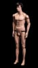 Todd fully posable male mannequin in tan fleshtone fiberglass finish displayed in dynamic pose – Mannequins Express - Image 3 of 0