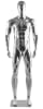chrome plastic egghead male mannequin retail display mannequins express - Image 1 of 0