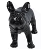 Realistic glossy black plastic French bulldog mannequin with a turnable head for pet apparel retail display and modern home interior decor. - Image 1 of 0