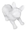 Realistic glossy white plastic French bulldog mannequin with a turnable head, designed for retail pet clothing displays and modern interior decor. - Image 1 of 0