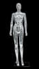 Durable glossy white plastic female egghead mannequin standing on a clear glass base with a metal calf support rod. - Image 1 of 0