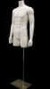 White male 3/4 torso fiberglass mannequin with a metal base for retail clothing display. - Image 1 of 0