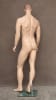 Photo: Male Mannequin Form | Tan Male Realistic Mannequin (Full) - Image 2 of 0
