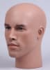Liam Realistic Male Display Head - Image 2 of 0