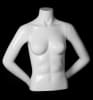 Glossy White Female 1/2 Torso Mannequin with Arms - Image 1 of 0