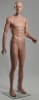 Male Caucasian Mannequin 5'9" Tall Looking Right - Image 1 of 0