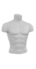 Male white torso display form for shirts and accessories - Image 1 of 0