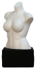 Swiss Coffee  plus size female torso mannequin with 7/8 inch flange for pole base mounting - Image 2 of 0
