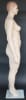 Skin Tone Plus Size Realistic Female Mannequin - Image 3 of 0