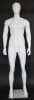 Lean Muscular Matte White Male Egghead Mannequin - Image 1 of 0