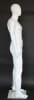 Lean Muscular Matte White Male Egghead Mannequin - Image 2 of 0