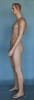 Flesh Tone Realistic Male Mannequin - Image 5 of 0