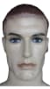 Realistic Muscular Male Fiberglass Mannequin - Image 2 of 0