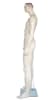 Realistic Muscular Male Fiberglass Mannequin - Image 3 of 0