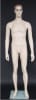Fleshtone 5'8" Male Mannequin with Realistic Facial Features - Image 1 of 0