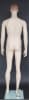 Fleshtone 5'8" Male Mannequin with Realistic Facial Features - Image 3 of 0