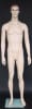 5'11" realistic fleshtone male mannequin with hand-painted face, molded hair, and glass base for military or retail display. - Image 1 of 0