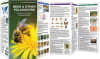 Bees & Other Pollinators pocket guide. About 75 percent of the crop plants grown worldwide depend on pollinators, bees, butterflies, birds, bats and other animals for fertilization. Bees alone are responsible for pollinating more species of plants - Image 2 of 0