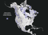 Explore the detailed 45th Parliament federal election results with this 2025 Canada General Election wall map. Features all 343 ridings, major metropolitan insets, and party standings for Liberals, Conservatives, BQ, NDP, and Greens. - Image 4 of 0