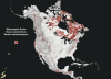 Explore the detailed 45th Parliament federal election results with this 2025 Canada General Election wall map. Features all 343 ridings, major metropolitan insets, and party standings for Liberals, Conservatives, BQ, NDP, and Greens. - Image 5 of 0