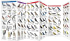 Identify 140+ Western US backyard birds easily! This durable, pocket-sized guide covers species west of the 100th Meridian, plus pro bird feeding tips. - Image 3 of 0