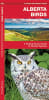 Alberta Birds Folding Pocket Guide.  Alberta is the permanent or migratory home of over 400 species of birds, including the provincial bird the great horned owl. This beautifully illustrated guide highlights over 140 familiar and unique species - Image 1 of 0
