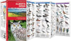 Alberta Birds Folding Pocket Guide.  Alberta is the permanent or migratory home of over 400 species of birds, including the provincial bird the great horned owl. This beautifully illustrated guide highlights over 140 familiar and unique species - Image 2 of 0