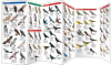 Alberta Birds Folding Pocket Guide.  Alberta is the permanent or migratory home of over 400 species of birds, including the provincial bird the great horned owl. This beautifully illustrated guide highlights over 140 familiar and unique species - Image 3 of 0