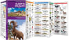 Alberta Wildlife Folding Pocket Guide. Alberta Wildlife is the perfect pocket-sized, folding guide for the nature enthusiast. The beautifully illustrated guide highlights over 140 familiar species of birds, m - Image 2 of 0