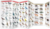 Alberta Wildlife Folding Pocket Guide. Alberta Wildlife is the perfect pocket-sized, folding guide for the nature enthusiast. The beautifully illustrated guide highlights over 140 familiar species of birds, m - Image 3 of 0