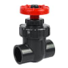 FijiCube .75" Slip X Slip Schedule 80 Gate Valve - Image 1 of 0