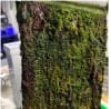 IceCap Pro Internal Turf Scrubber Small IC-AGS-1INTPRO - Image 5 of 0