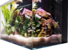 Lifegard Aquatics 9.98 Gallon Ultra Crystal Clear Aquarium - Image 2 of 0