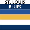 St. Louis Blues team colors custom printed mini hockey stick. Personalized mini hockey stick by ministixx. - Image 1 of 0