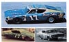 #17 David Pearson 1969-70 Fords (1/25) - Image 5 of 0