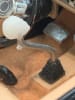 3d Skull Shifter - Image 1 of 0