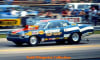 Don Carlton's Demon and Dart Sport Decal (1/24) - Image 2 of 0