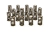 PAC 4.6 5.4 2V SOHC .600 Lift Beehive Spring Set 16 - Image 1 of 0