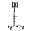 Freestanding Display Mount - Image 1 of 0