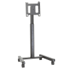Freestanding Display Mount - Image 3 of 0