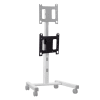 Freestanding Display Mount - Image 8 of 0