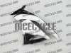 White/Black/Green Kawasaki ZX6R Fairings - Image 3 of 0