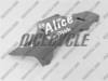 Ducati 1198 1098 848 Evo Alice Style Silver Fairings - Image 4 of 0
