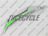 Yamaha YZF-R6 White/Green Fairings - Image 5 of 0