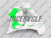 Kawasaki ZX9R Bright Green Tribal Fairings - Image 3 of 0