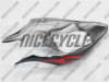 Red Tribal Yamaha YZF-R1 Fairings - Image 3 of 0