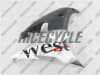 Yamaha YZF-R6 WEST Fairings - Image 4 of 0